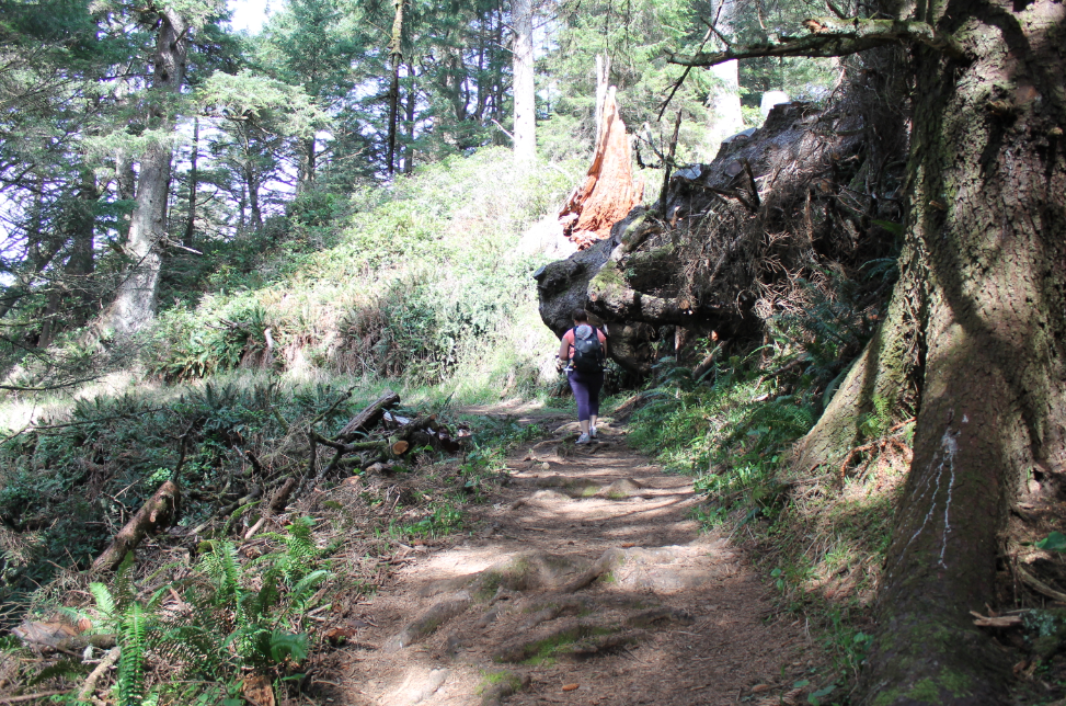 Enjoy the Outdoors: Yes!  You Can Hike with Your Baby