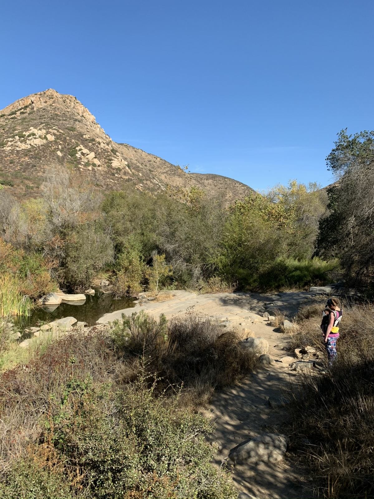 Babywearing Research on The Hiking Trails