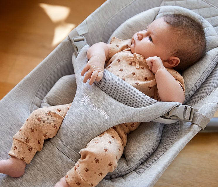 ergobaby bouncer